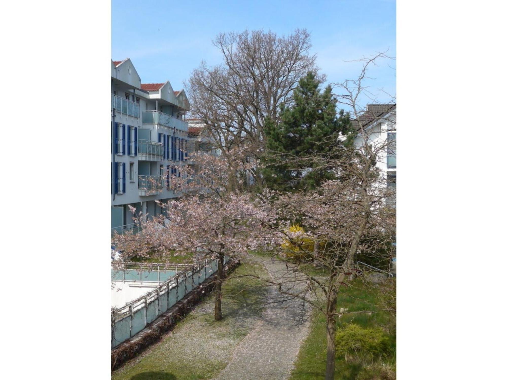 Am Kurhaus 508 - Ostsee-Lug, Pp Am Bernsteinhaus 징스트 외부 사진